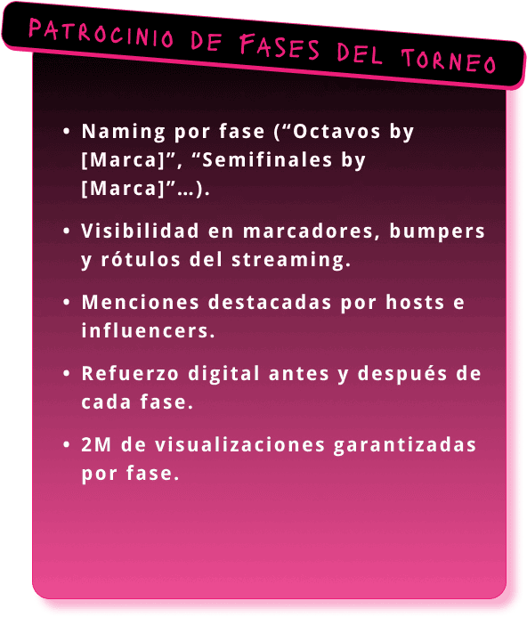 Fases del torneo